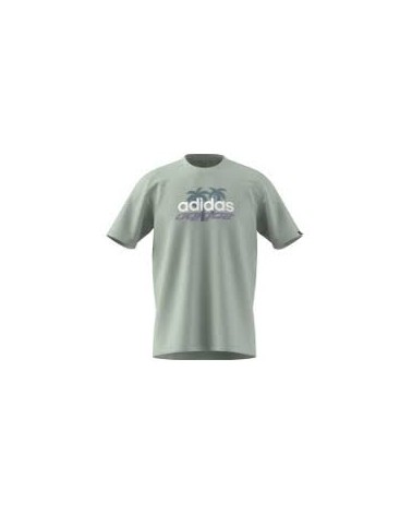 Camiseta Adidas Reflection LinGreen