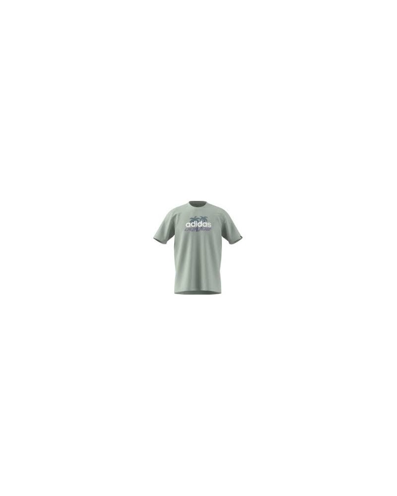 Camiseta Adidas Reflection LinGreen